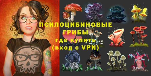 ALPHA PVP Белокуриха