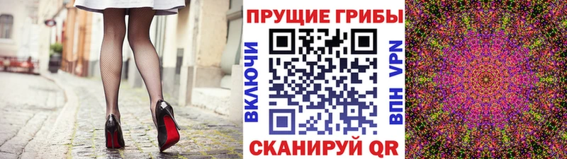 Псилоцибиновые грибы Magic Shrooms  Купить закладки  Гусиноозёрск 